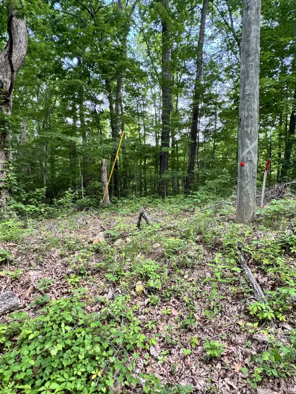 Prettiest Sunset Way Lot #5 Seymour, Tn 37865,