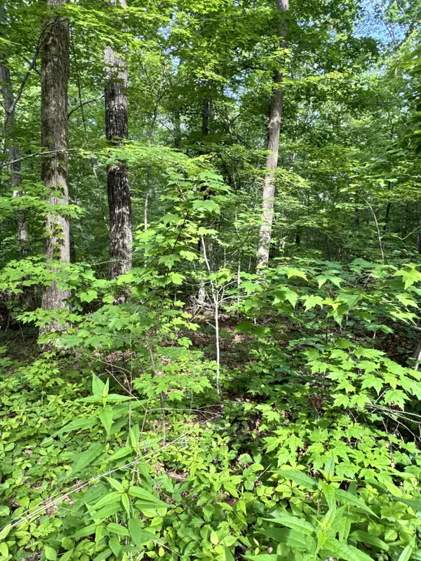 Prettiest Sunset Way Lot #5 Seymour, Tn 37865,