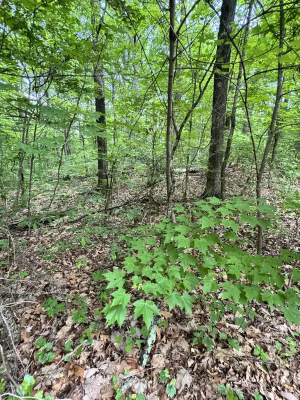 Prettiest Sunset Way Lot #4, Seymour Tn,