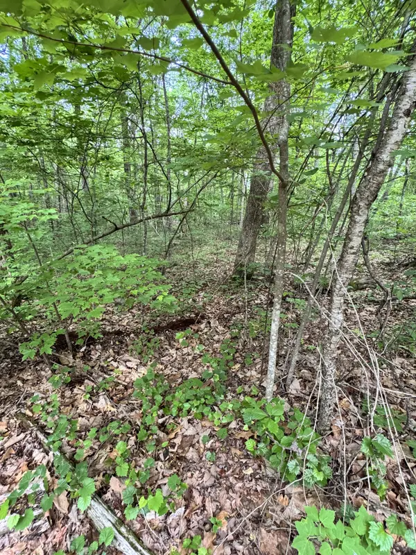 Prettiest Sunset Way Lot #4, Seymour Tn,