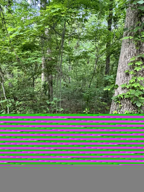 Prettiest Sunset Way Lot #5 Seymour, Tn 37865,