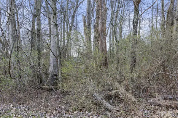 0 King Road, Thornville, OH 43076