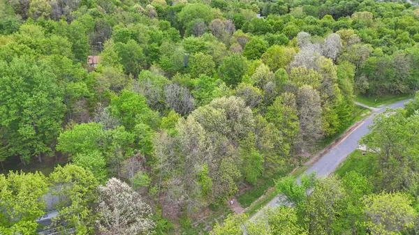 0 Daffodil Drive #Lot 163, Howard, OH 43028