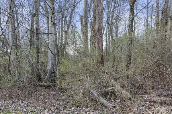 0 King Road, Thornville, OH 43076