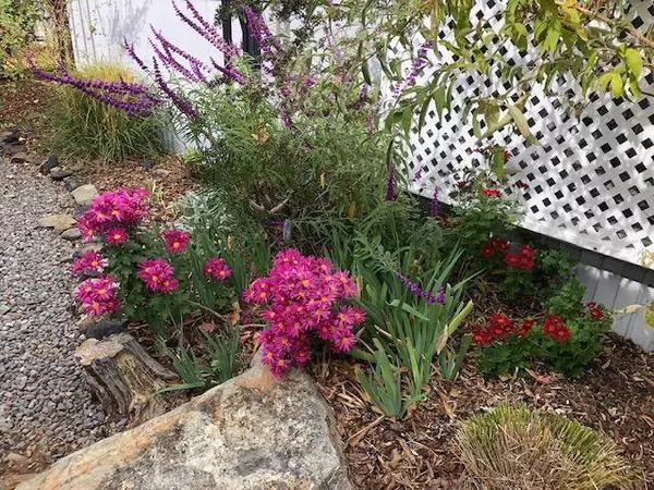 3765 Grass Valley Highway #227, Auburn, CA 95602