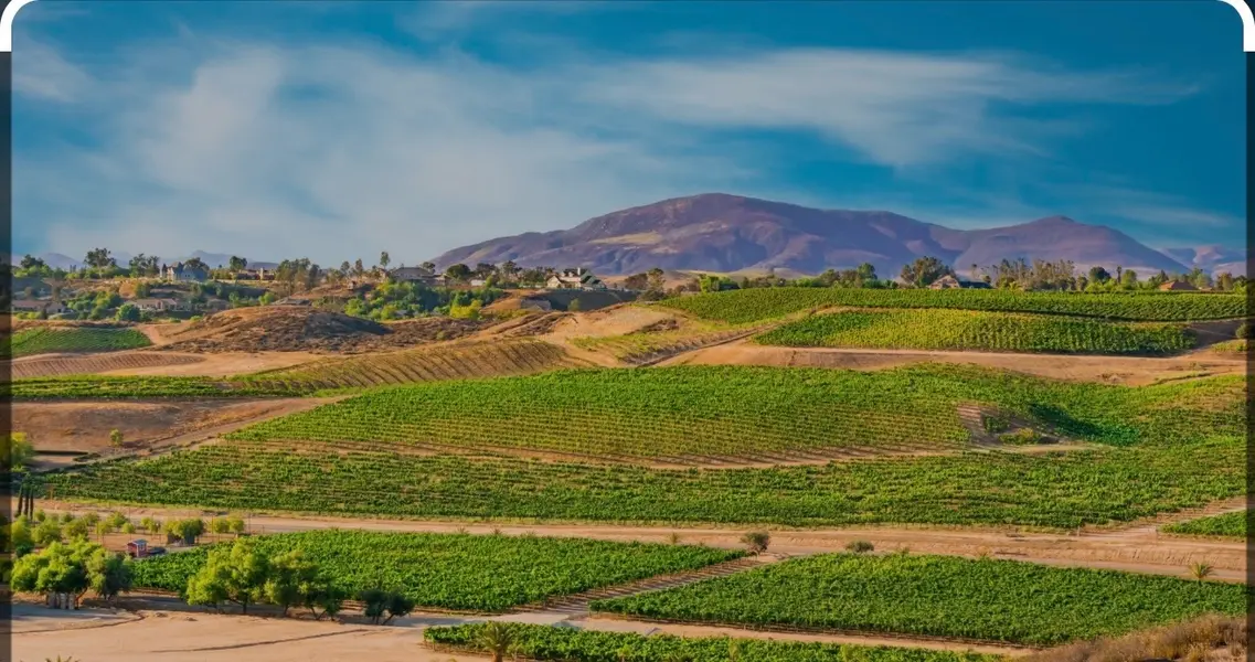 Temecula