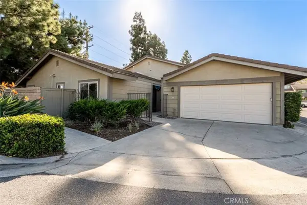 260 E Ponderosa #19