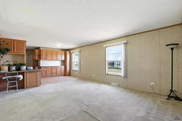 9501 Diamond T Cir, Summerset, SD 57718