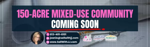 Wesley Chapel’s Next Big Project: A New Mixed-Use Community on 150 Acres,Joanie Jacques, Realtor