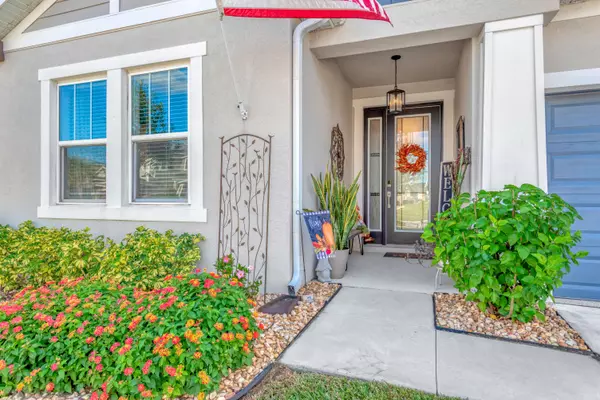 Wesley Chapel, FL 33545-3441,7213 Talamore Dr