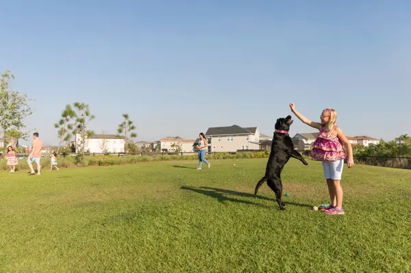 20170407-Tavistock-Scott-Cook-Photography-3030