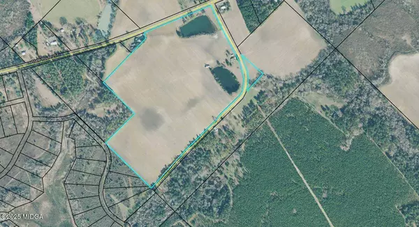 30 Lilly Barss Road, Hawkinsville, GA 31036