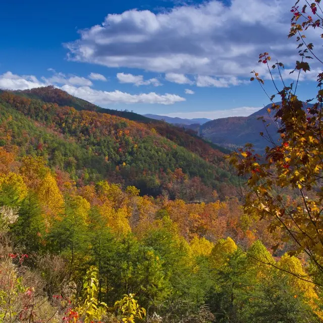 Great Smoky Mountains near Seymour Tennessee