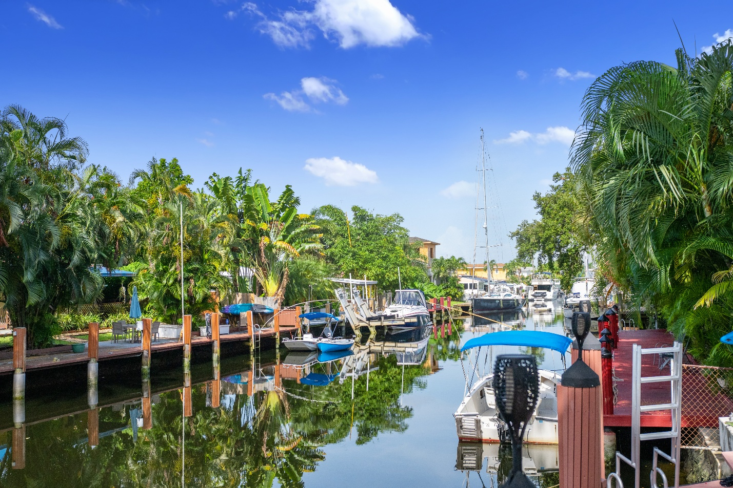ani-romanson-fort-lauderdale-fl