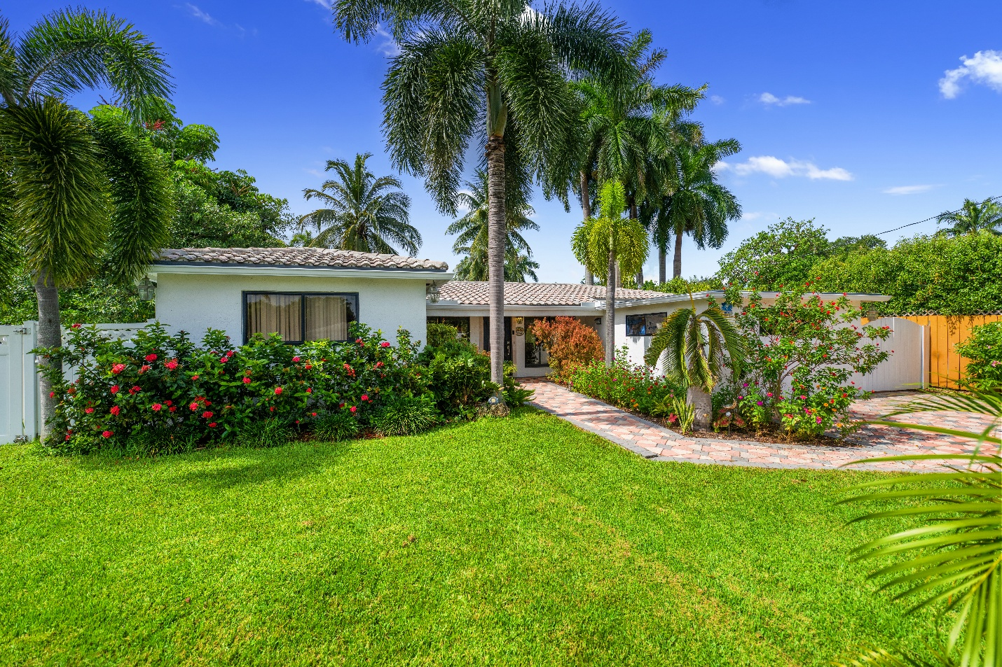 ani-romanson-fort-lauderdale-fl