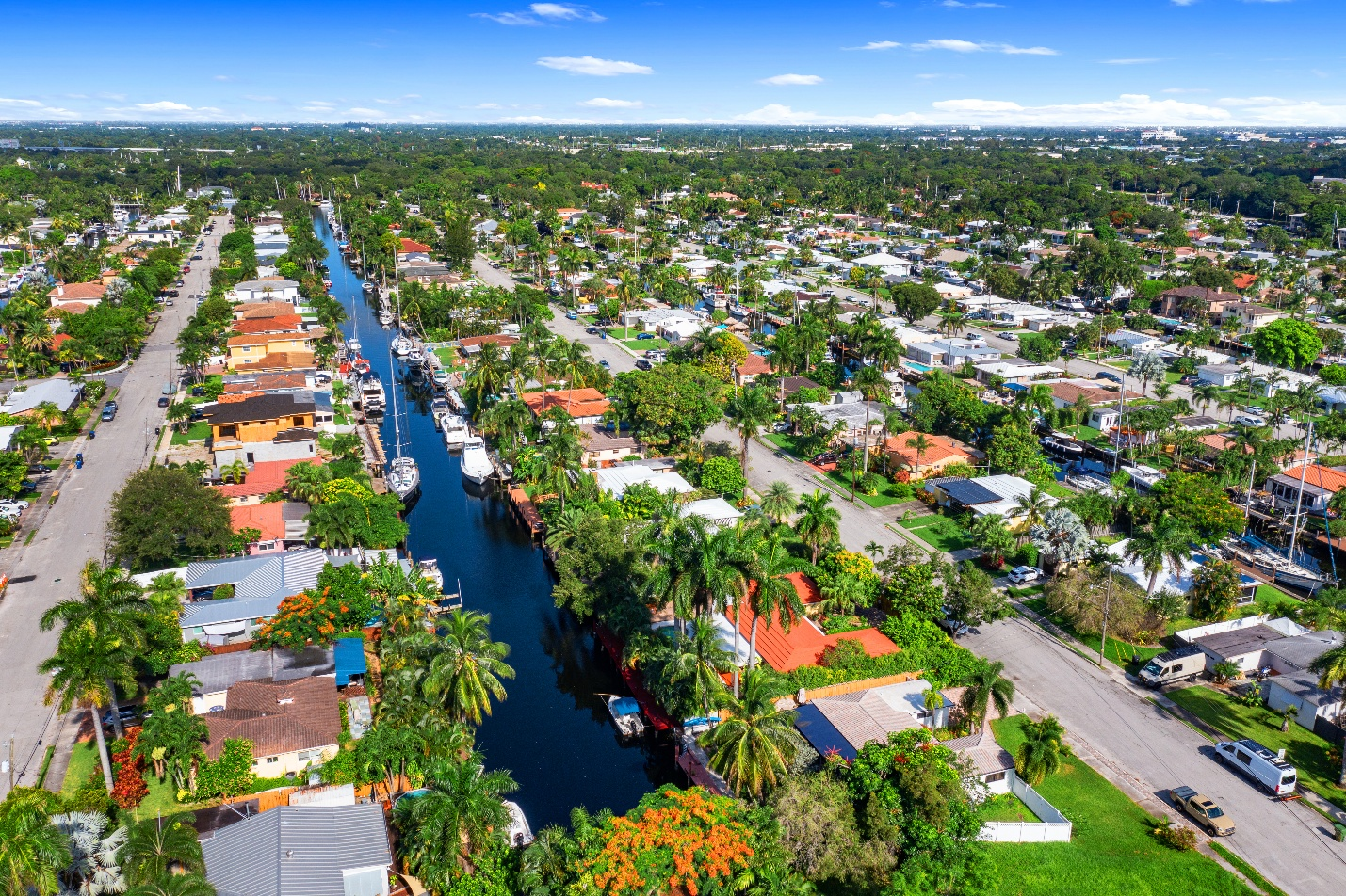 ani-romanson-fort-lauderdale-fl