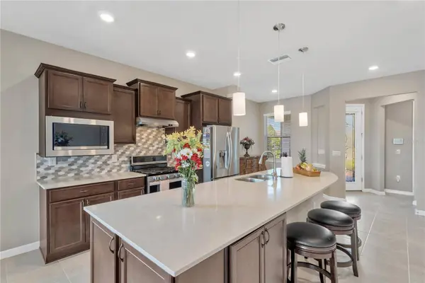 19367 COASTAL SHORE TER, Land O Lakes, FL 34638