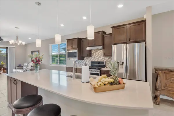 19367 COASTAL SHORE TER, Land O Lakes, FL 34638