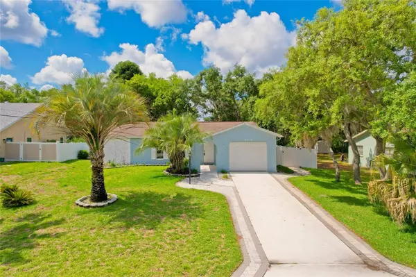 8218 PLACID ST, Spring Hill, FL 34606