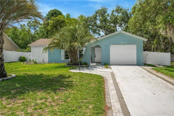 8218 PLACID ST, Spring Hill, FL 34606