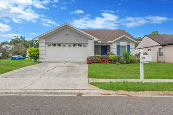 5055 CYPRESS TRACE DR, Tampa, FL 33624