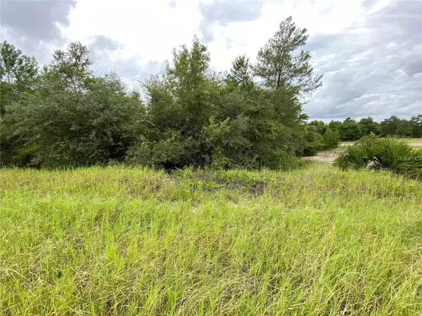 1362 HOMOSASSA DR, Kissimmee, FL 34759