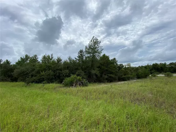 1362 HOMOSASSA DR, Kissimmee, FL 34759