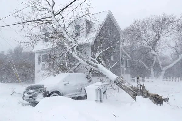 The Insurance Claim You're Probably Entitled to After the Record-Breaking Blizzard of 2026 - And How Not to Mess It Up!