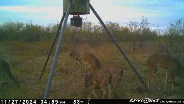 000 Hopewell, Bellevue, TX 76228