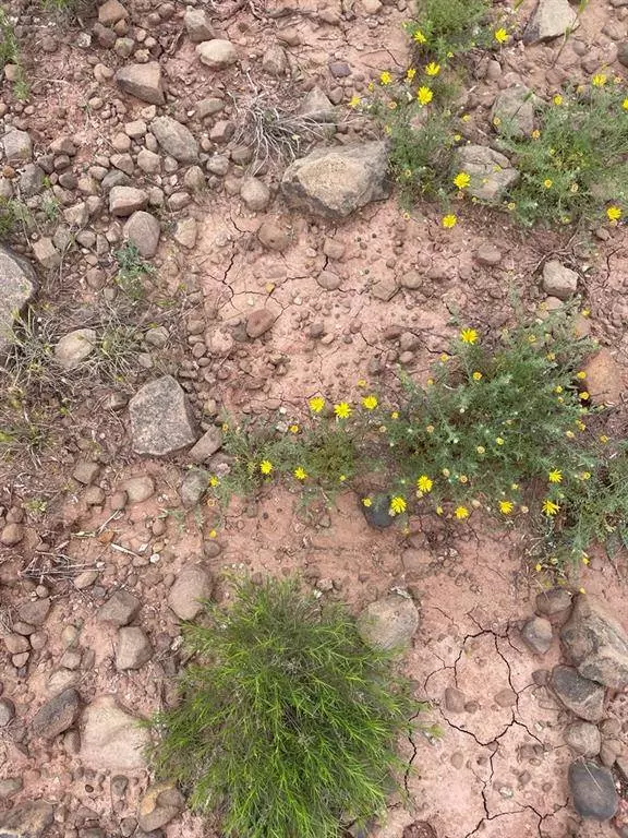 000 Hopewell, Bellevue, TX 76228