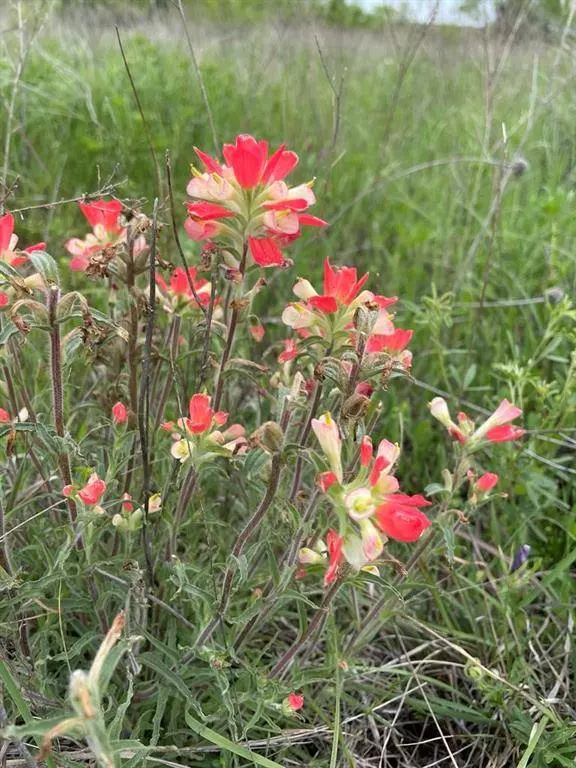 000 Hopewell, Bellevue, TX 76228