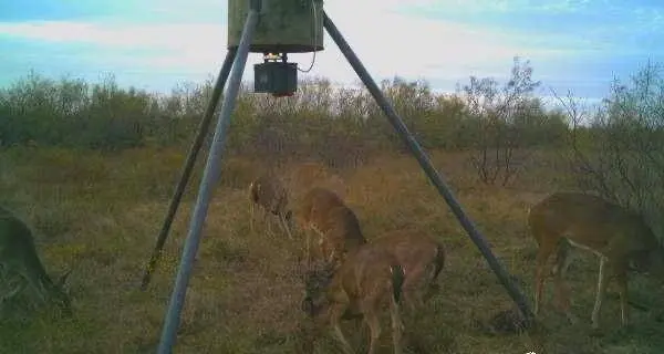 000 Hopewell, Bellevue, TX 76228