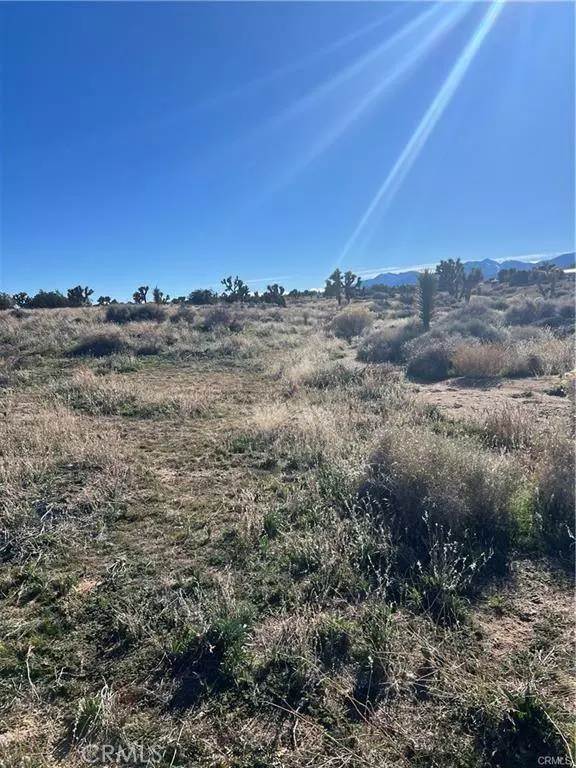 0 Tricobble CT, Phelan, CA 92371