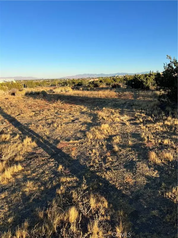 0 Elsinore, Pinon Hills, CA 92372