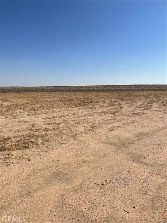 1 N Buckthorne RD, Helendale, CA 92342