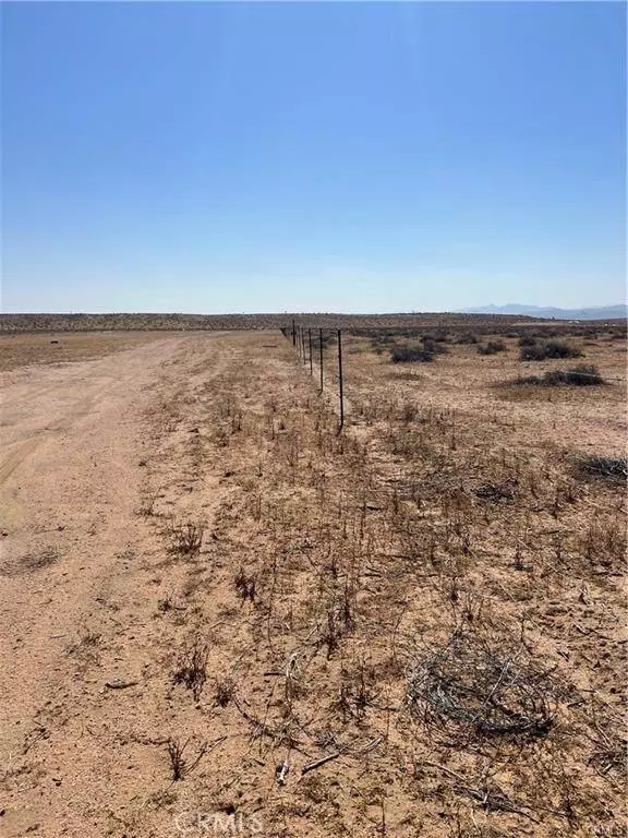 1 N Buckthorne RD, Helendale, CA 92342