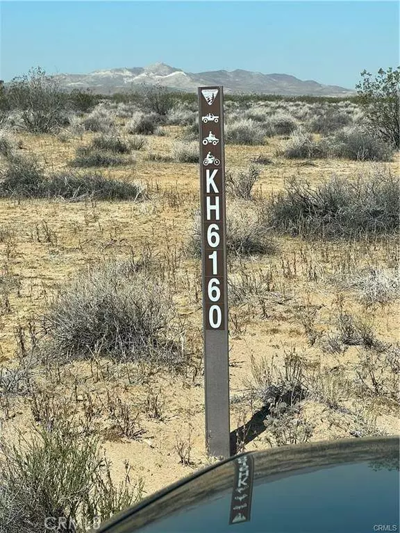 1 N Buckthorne RD, Helendale, CA 92342