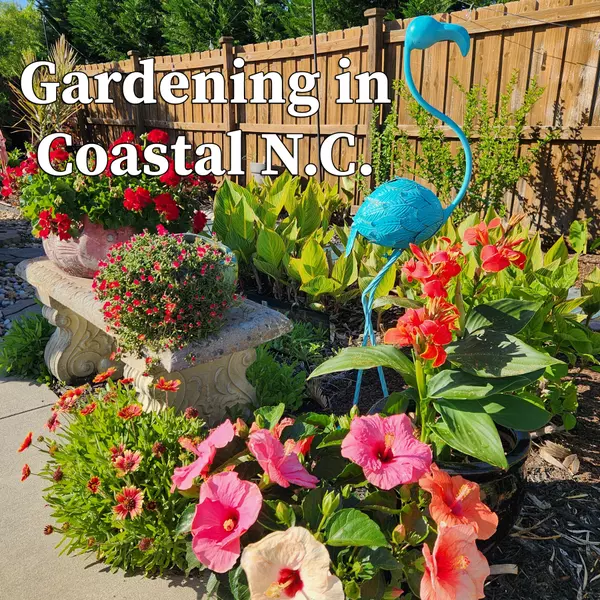 Spring Gardening in Wilmington, NC: Plants & Flowers That Thrive in Our Coastal Climate