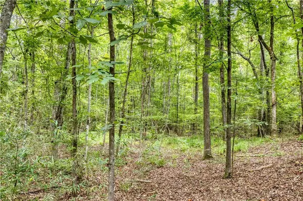 0 Kathleen Circle, Phenix City, AL 36869