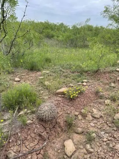 000 Hopewell, Bellevue, TX 76228