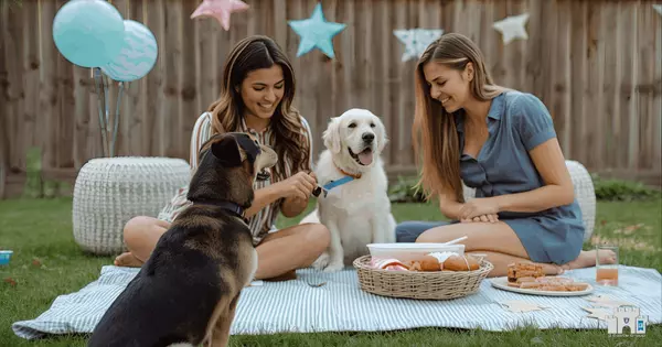 Organizing a Pet Playdate Party in Your Backyard