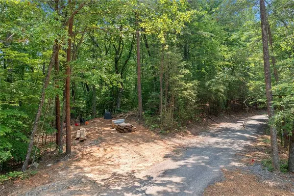 0 Meadowlands DR, Talking Rock, GA 30175