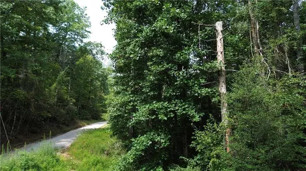 0 Mitchell Road, Dahlonega, GA 30533