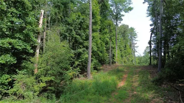 0 Mitchell Road, Dahlonega, GA 30533