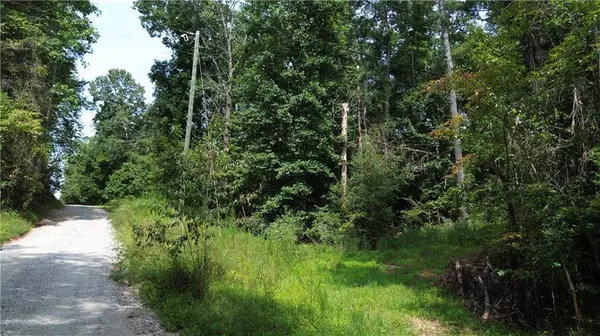 0 Mitchell Road, Dahlonega, GA 30533