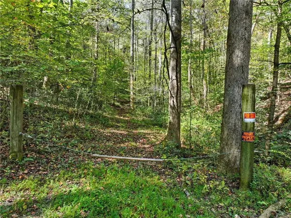 0 Tanglewood Lane, Ellijay, GA 30540