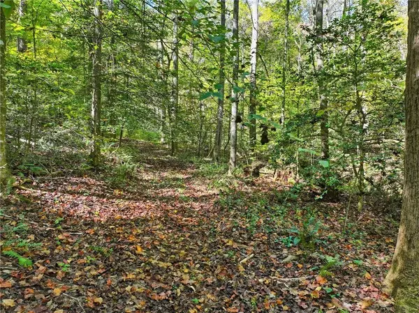 0 Tanglewood Lane, Ellijay, GA 30540