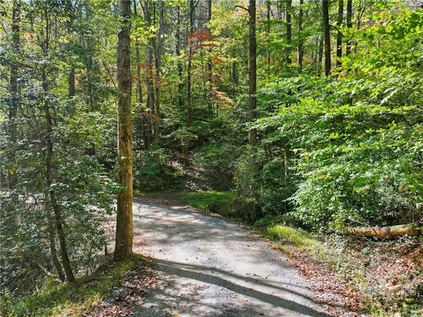 0 Tanglewood Lane, Ellijay, GA 30540