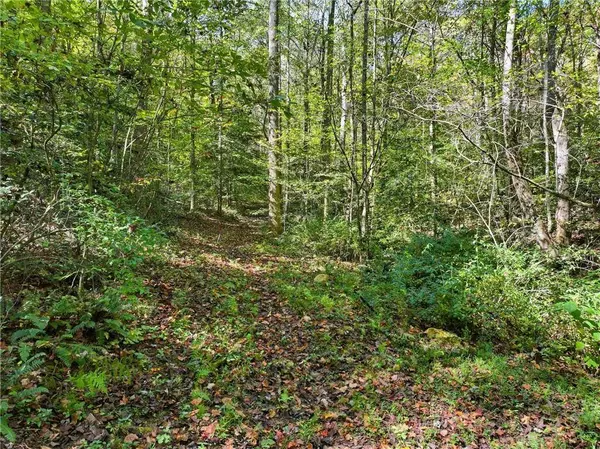 0 Tanglewood Lane, Ellijay, GA 30540