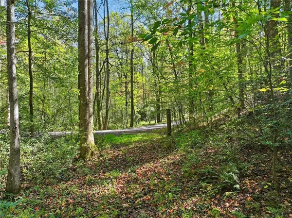 0 Tanglewood Lane, Ellijay, GA 30540